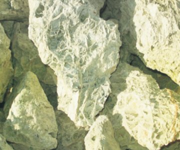 LYP-28 Green-Spaghetti