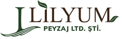 Lilyum Peyzaj